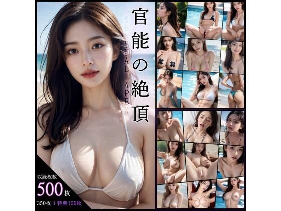 d_340637【同人誌価格比較】官能の絶頂