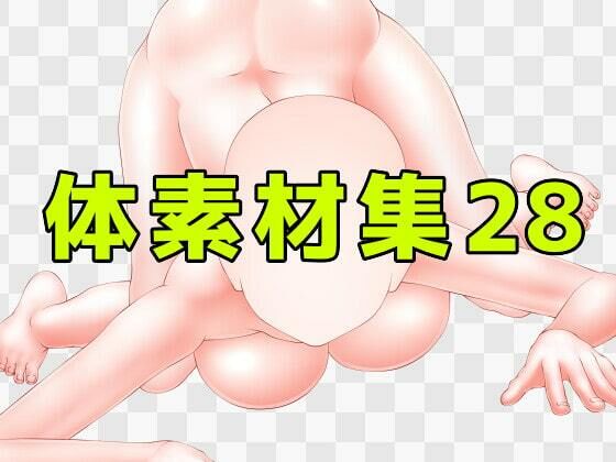 d_431999【同人誌価格比較】体素材集28