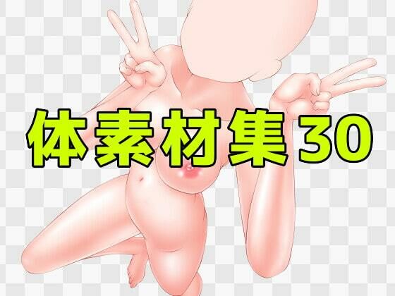 d_432004【同人誌価格比較】体素材集30